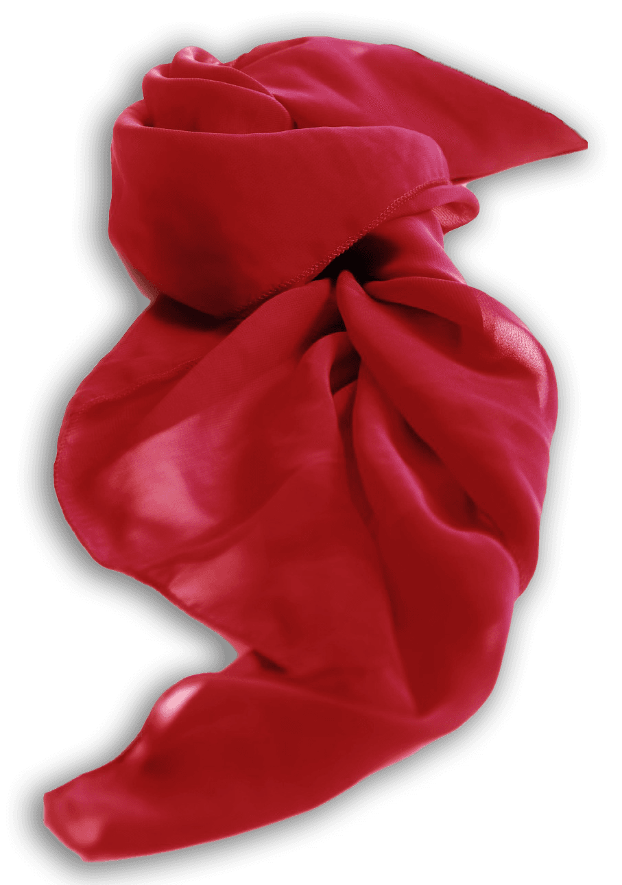 AP Collective-ACCESSORIES - NEWwwww.png