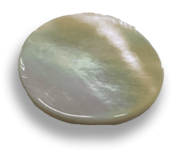 AP Collective-BUTTONS(222).png