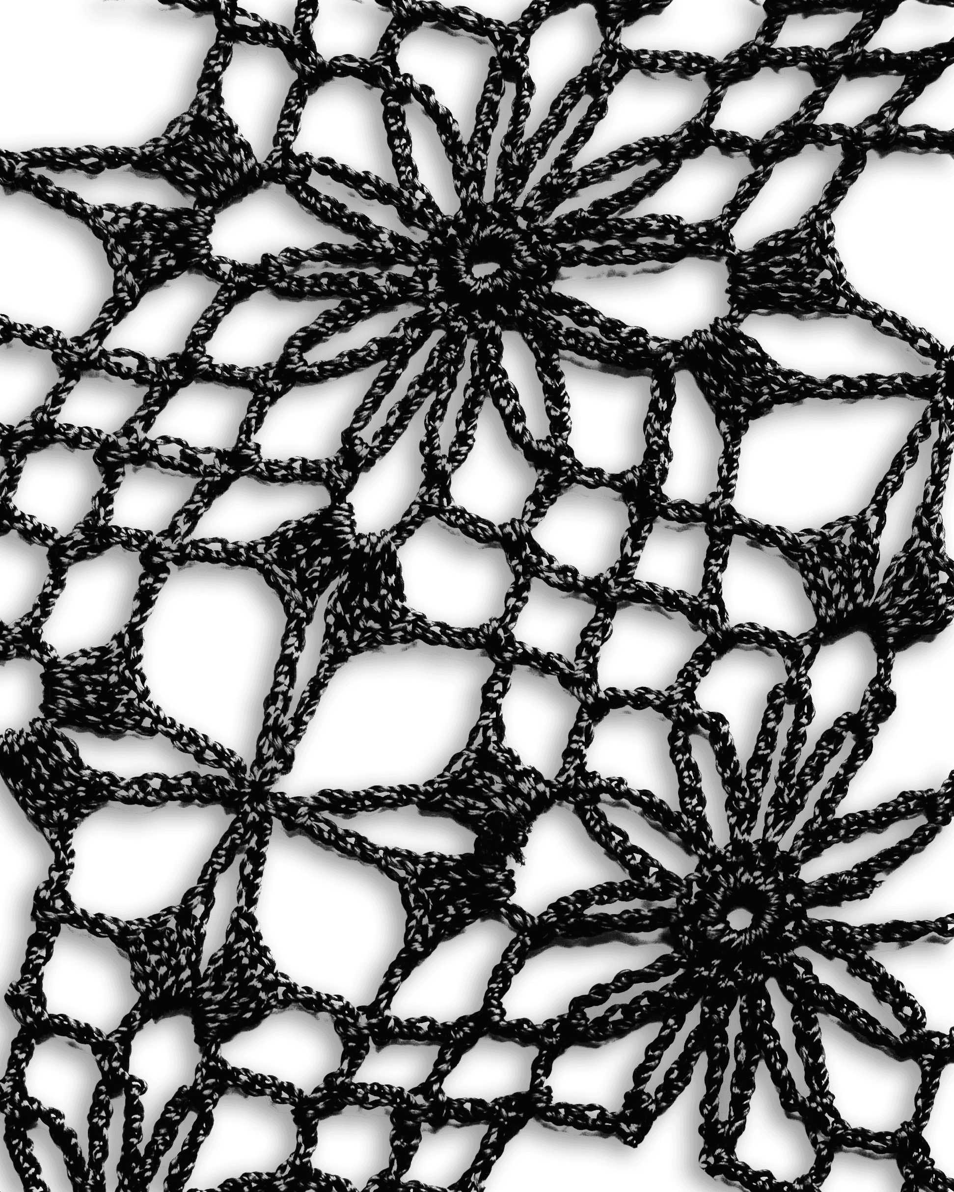 AP Collective-KNITS - NEW.png